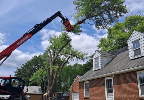 A crane helping with tree removal