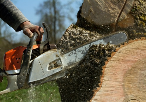 Man cutting up a tree after Tree Removal