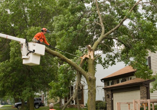 Tree Removal Peoria IL 