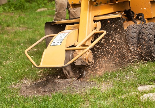 Machine getting rid of a tree stump during Stump Grinding