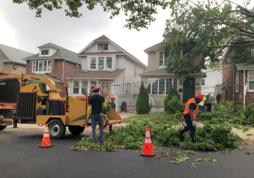 Storm Damage that caused branches to fall in the street