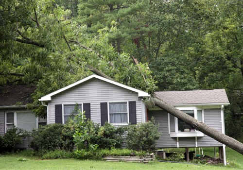 A house with a tree fallen on it due to storm damage in Peoria IL