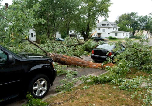 Storm damage in Bloomington IL that knocked down trees on vehicles