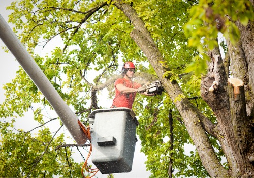 A man in a crane trimming branches during commercial tree service in Peoria IL