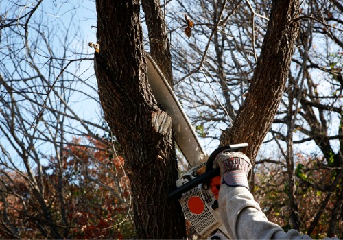 Man cutting a branch during Commercial Tree Service in Bloomington IL