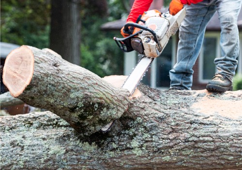 TJ Blakeney's Tree Service can provide Stump Grinding Near You in the Bloomington IL area