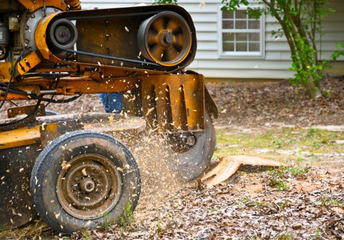 As part of the Stump Grinding Near You services offered by TJ Blakeney Tree Service, they will fill the hole when a stump is removed.