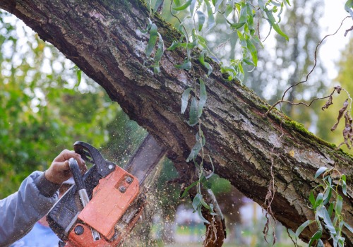 TJ Blakeney Tree Service offers Tree Trimming n Normal IL