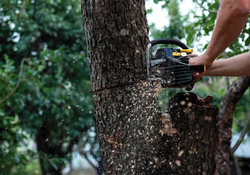 A member of TJ Blakeney Tree Services provides Tree Removal in Normal IL